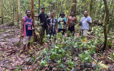 Kopi Senopi Diproyeksi Jadi Produk Lokal Ikon Papua Barat Daya